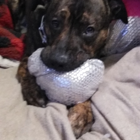 Meet your Posher, Joe - Picture 1 of 1